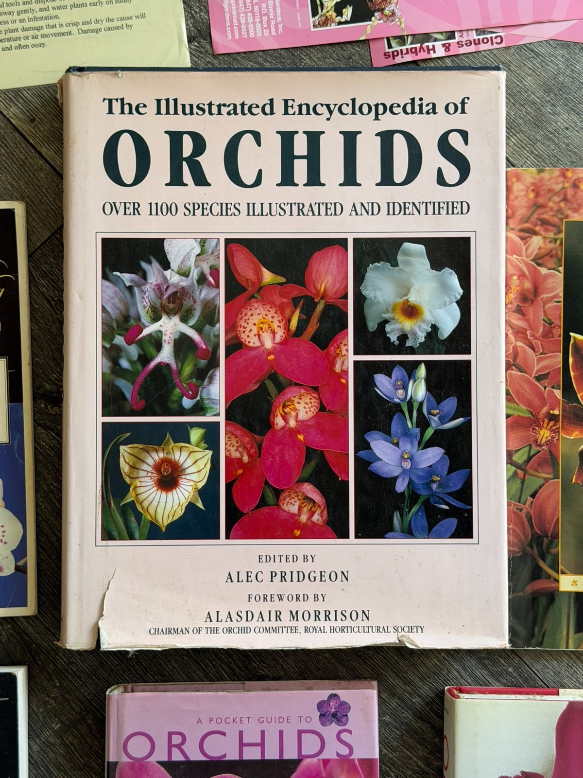 ORCHID Book 8pc Lot Field Guide Hardcover Softcover Gardening Flowers Floristry