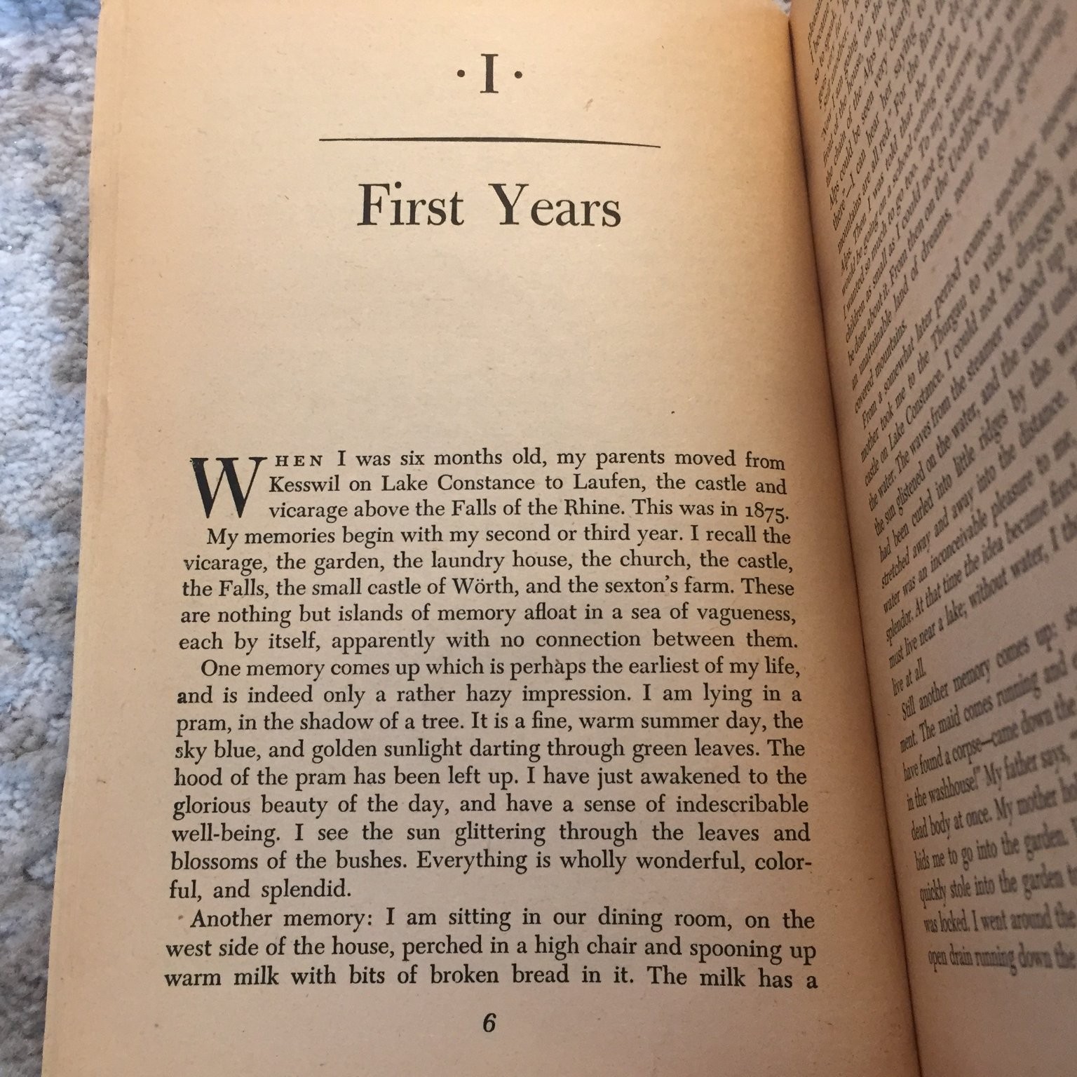 Memories Dreams Reflections C.G. Jung 1965 Vintage Psychology Autobiography Book