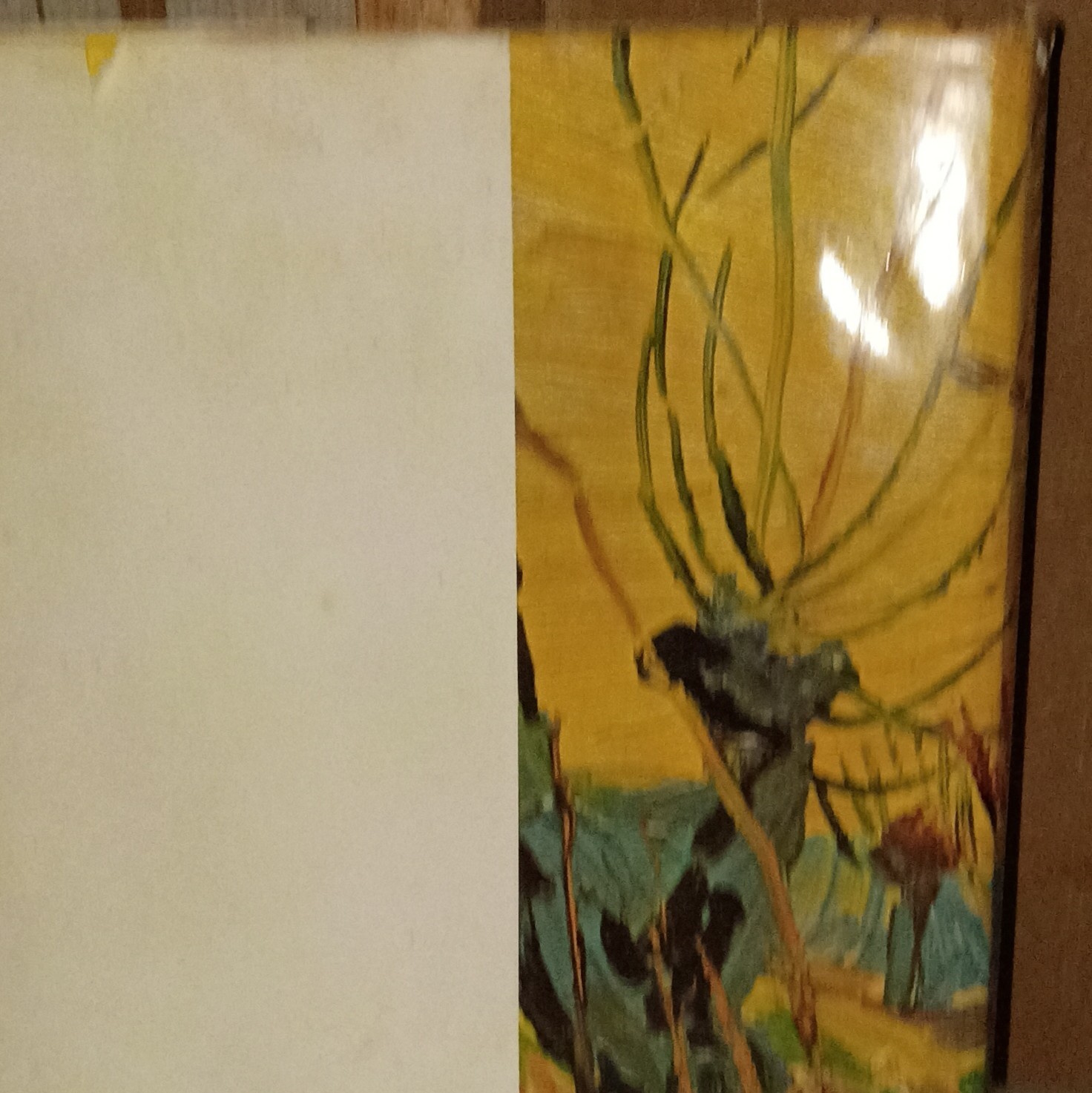 Van Gogh by Jean Leymarie Hardcover 1986 Discovering the 19th Century Illus