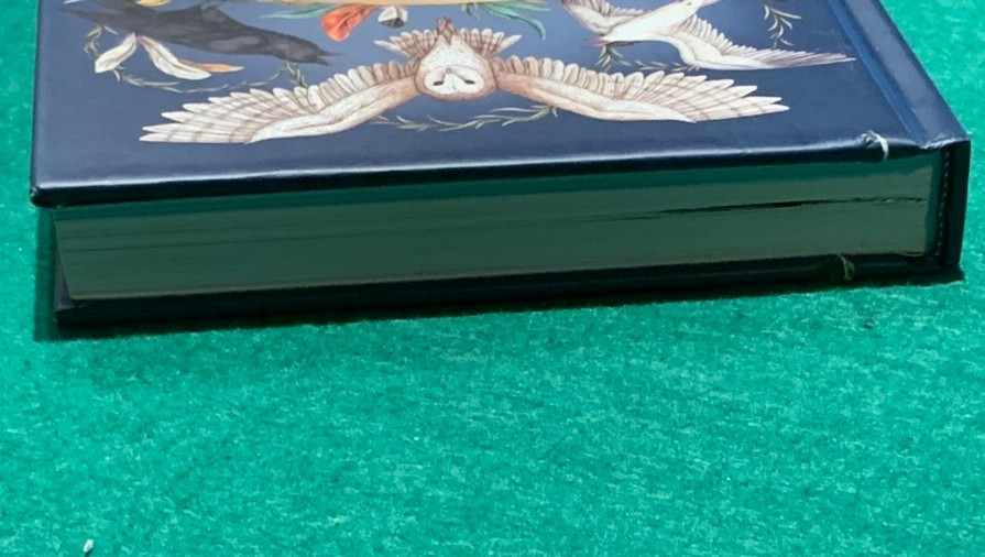Ornithography by Jessica Roux 1st/1st HC 2024 Birds