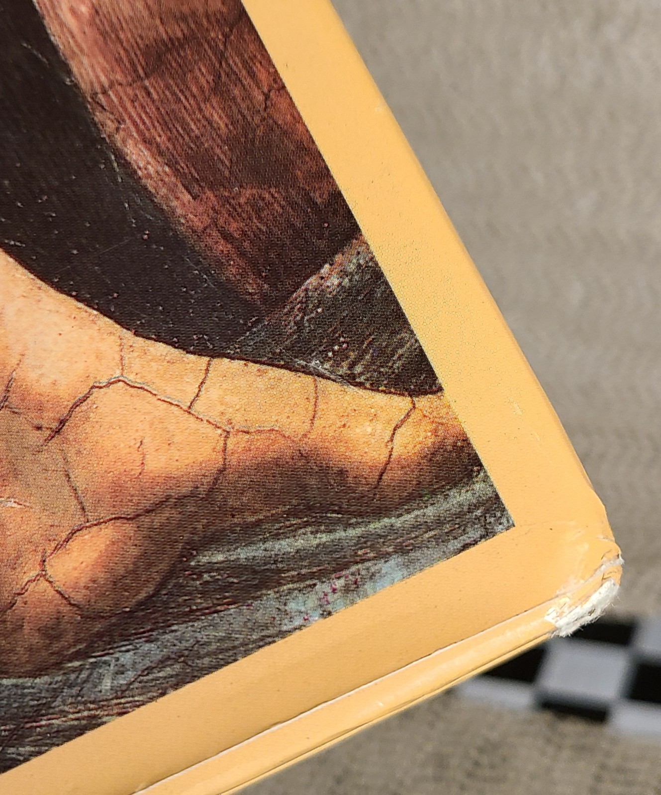 Michelangelo by Jesse McDonald (1995 Hardcover) 112 Pages with Dust Jacket