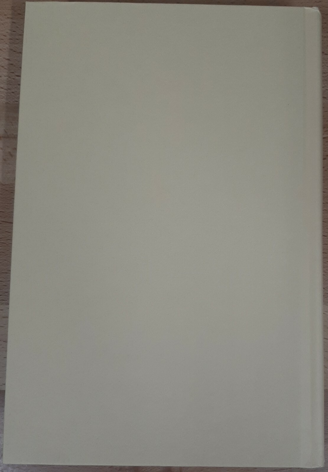 Book of Judas~Linda Stasi~381 pages~2017~1st Edition~H/C~D/J~Very Good Condition