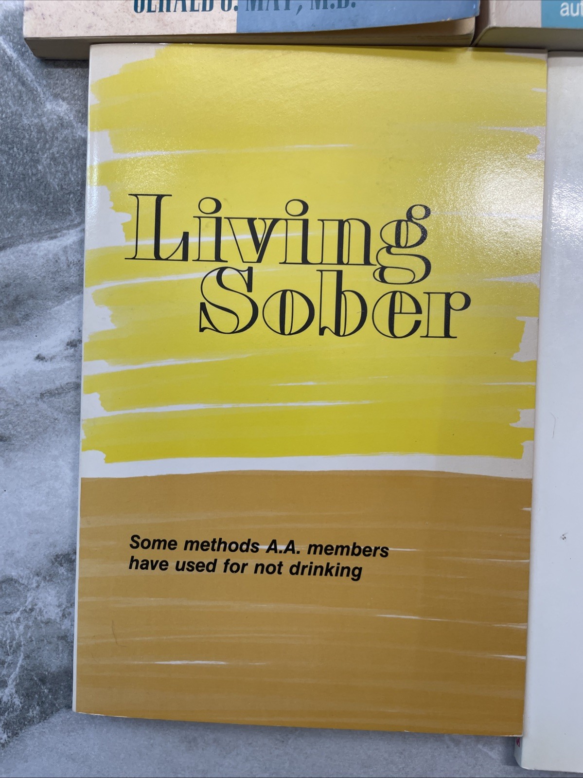 6 Books on Addiction Alcoholism Getting Sober PBK Beyond Codependency