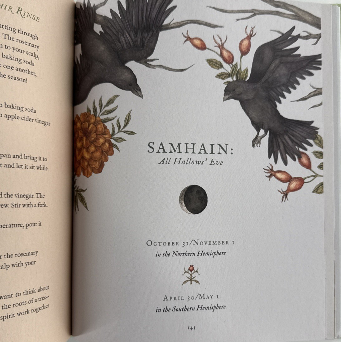 The Wheel of the Year: An Illustrated Guide to Nature’s Rhythms HC