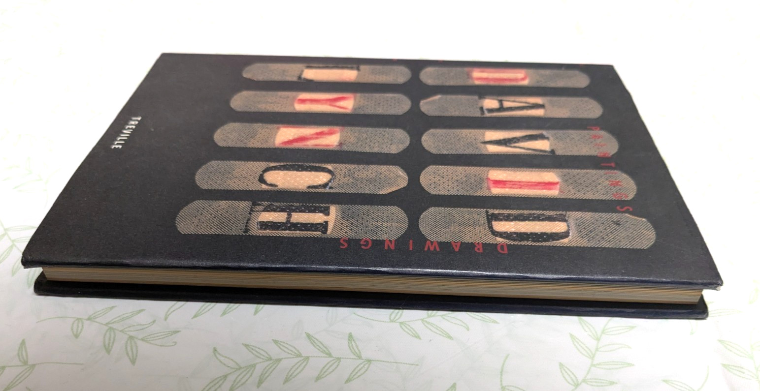 David Lynch: Painting & Drawings Collection of Paintings Treville 1991 Used