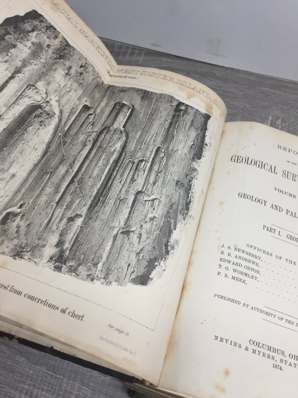 Geological Survey of Ohio Vol II Part I Geology Newberry 1874 Ohio State maps