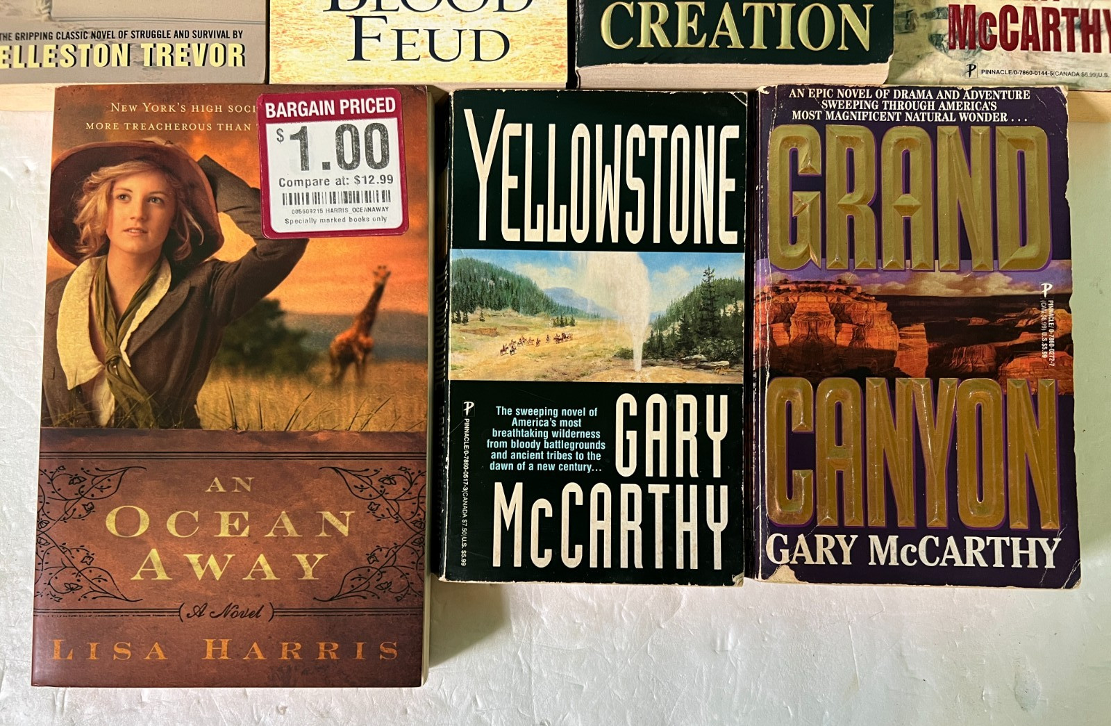 Western Adventure Historical Lot 10 Books Paperback Hardcover Book Yellowstone