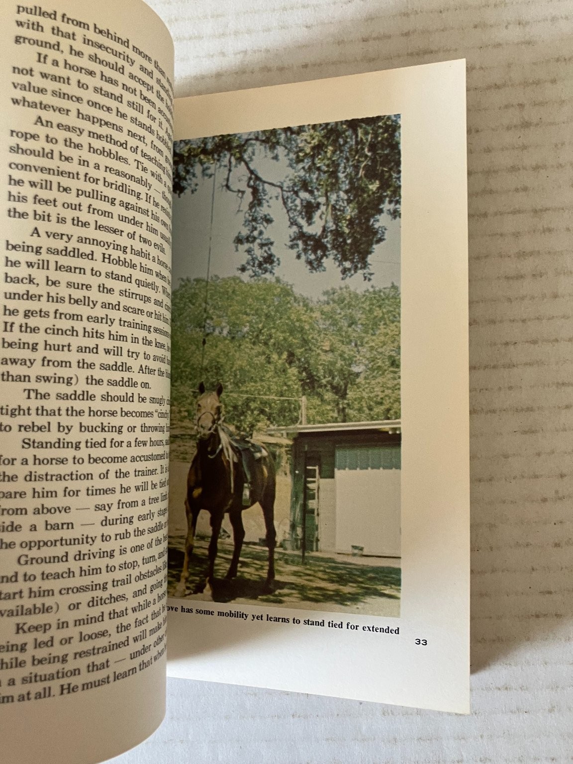 Know All About Trail Riding Sharon Saare Horse Library Vintage Equestrian PB