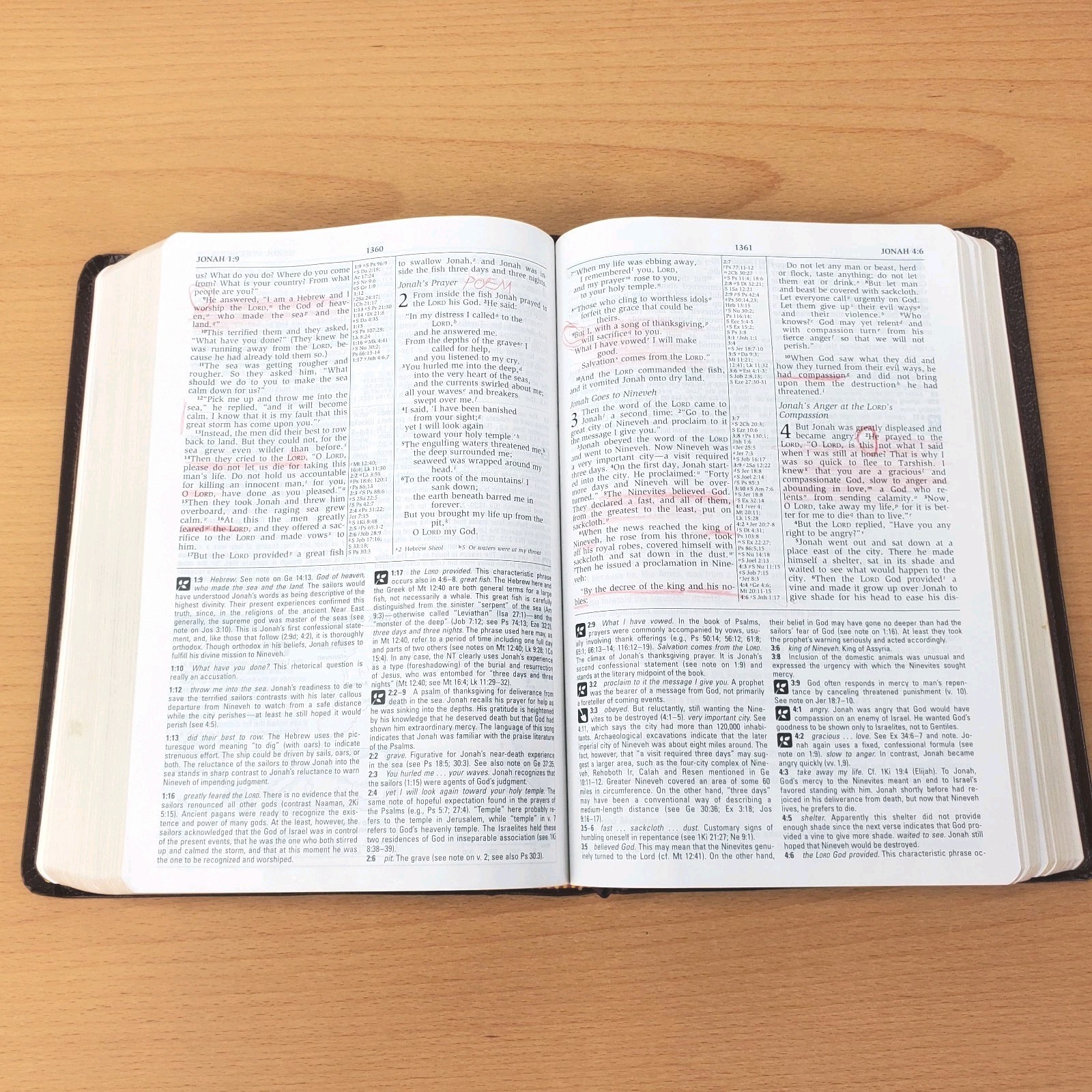 Zondervan The NIV Study Bible 10th Anniversary Edition 1995 Red Letter, Leather