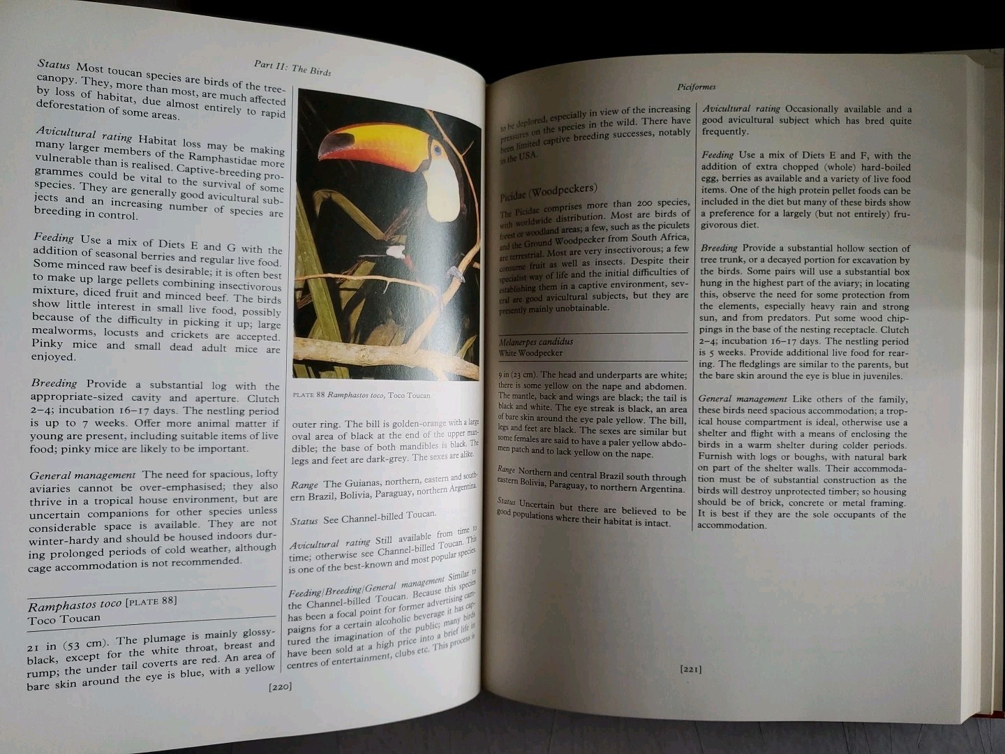 The Handbook of Aviculture Frank Woolham 1987 Bird Keeping Hardcover