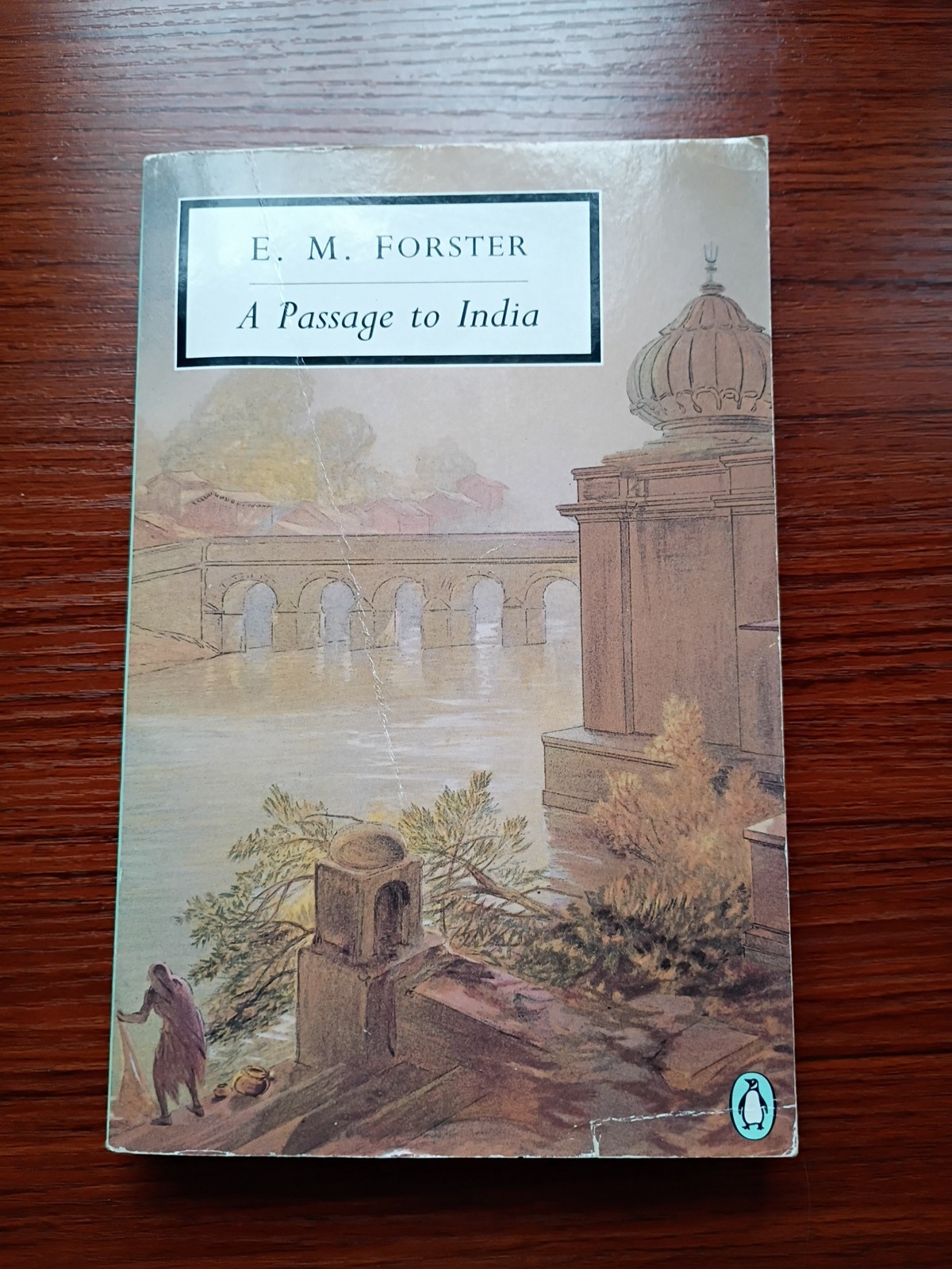 A Passage to India Paperback Edward Morgan Forster