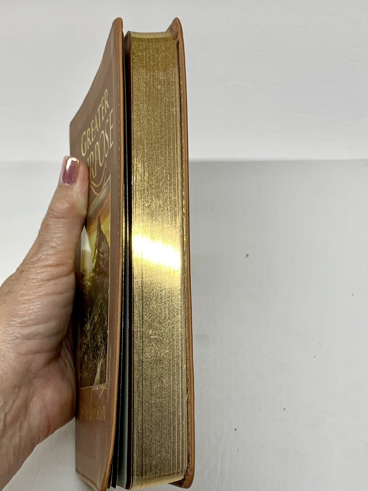Greater Purpose By David Jeremiah Daily Devotional Leather Gold Edged Pages