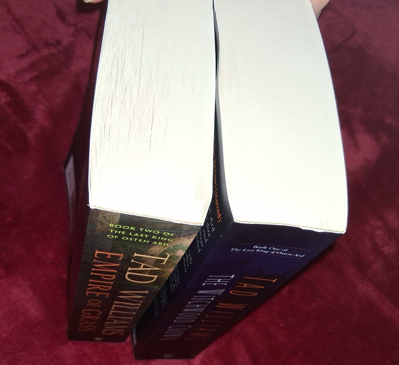 Last King of Osten Ard books LOT Tad Williams (author Memory Sorrow Thorn) PB