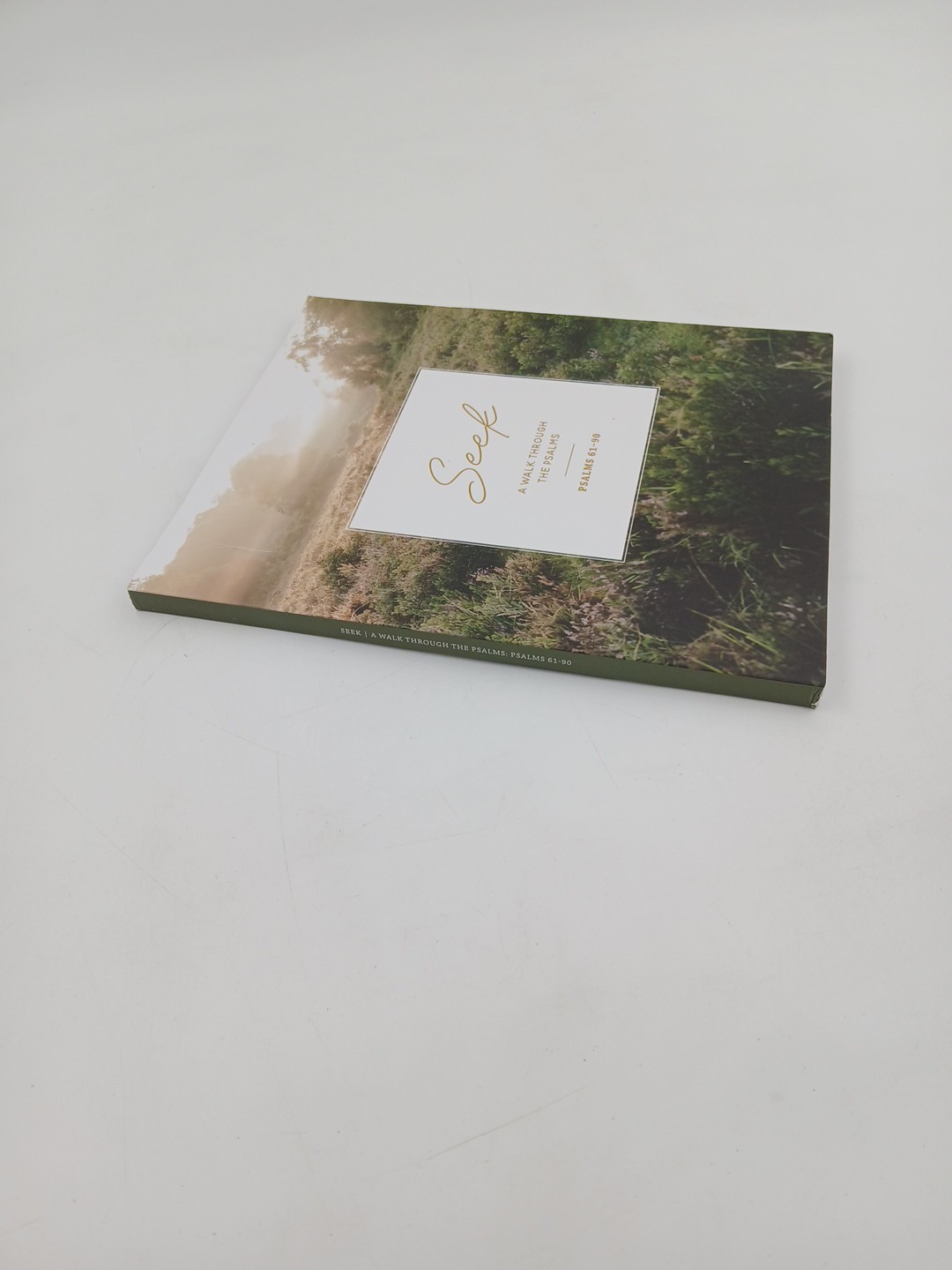 Seek 6 Week Bible Study A Walk Through Psalms 61-90 The Daily Grace Co