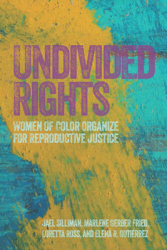 Undivided Rights: Women of Color Organizing for Reproductive Justice – VERY GOOD