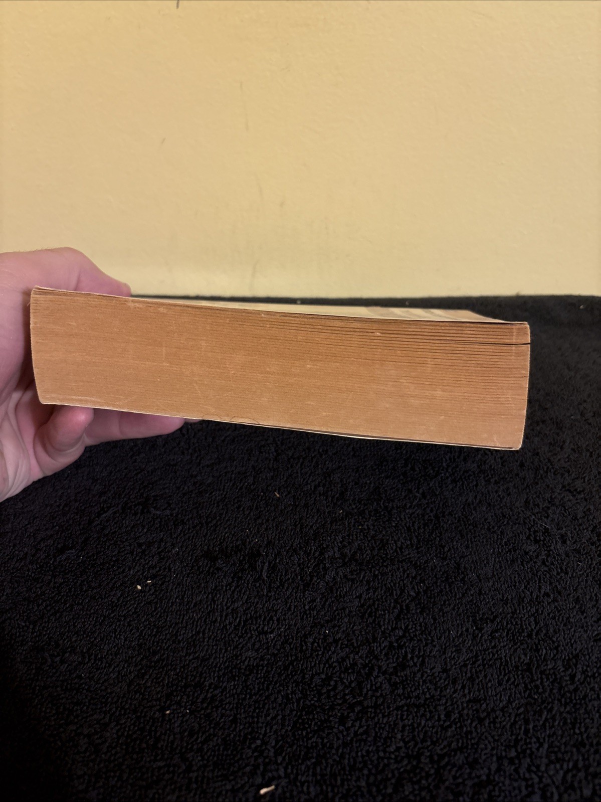 fyodor dostoyevsky the brothers karamazov Paperback Book 1966