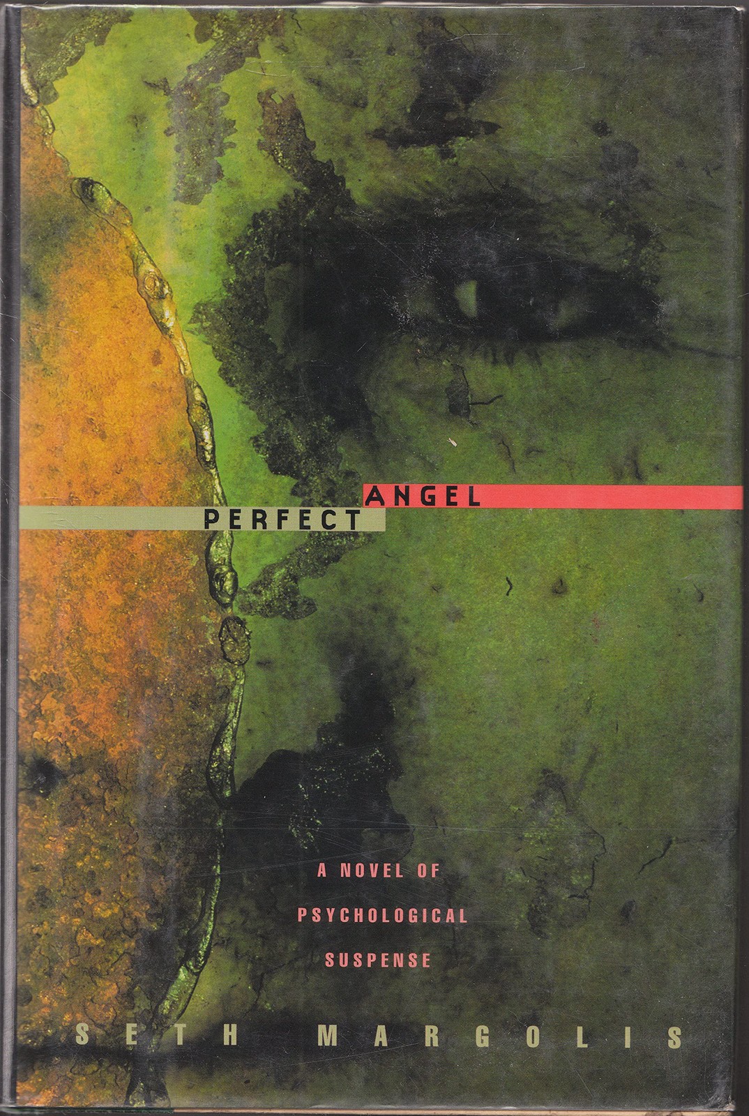 Perfect Angel – Margolis, Seth J. – Good – See condition notes