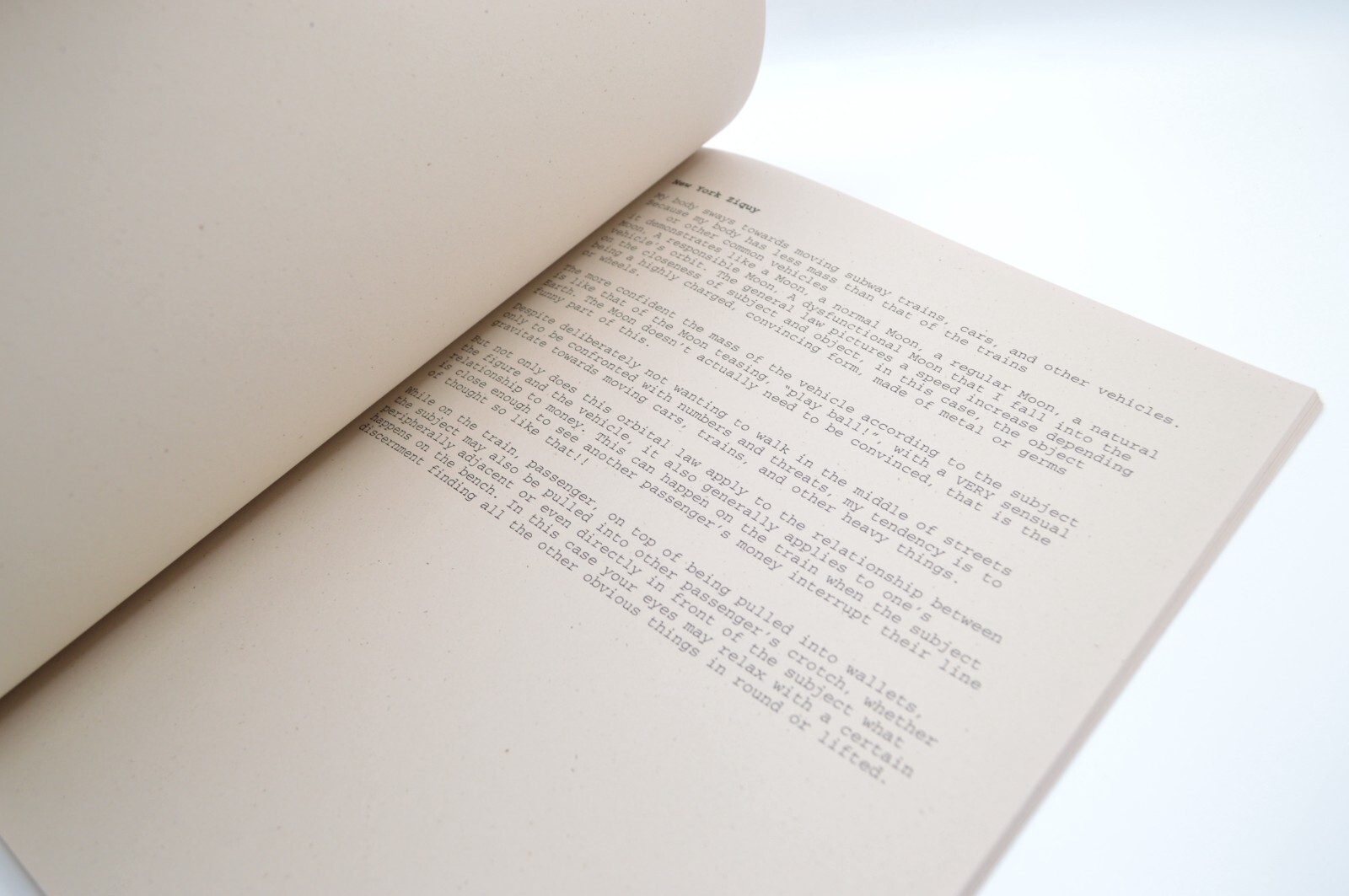 Who is in Charge, Morgan Ritter, 2013, c_L Books, LE, Concrete Poetry, Artist