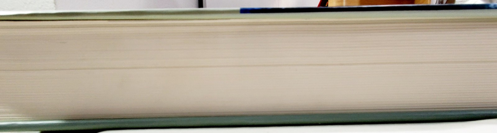 South Carolina Encyclopedia by Humanities Council SC Staff (2006, Hardcover)
