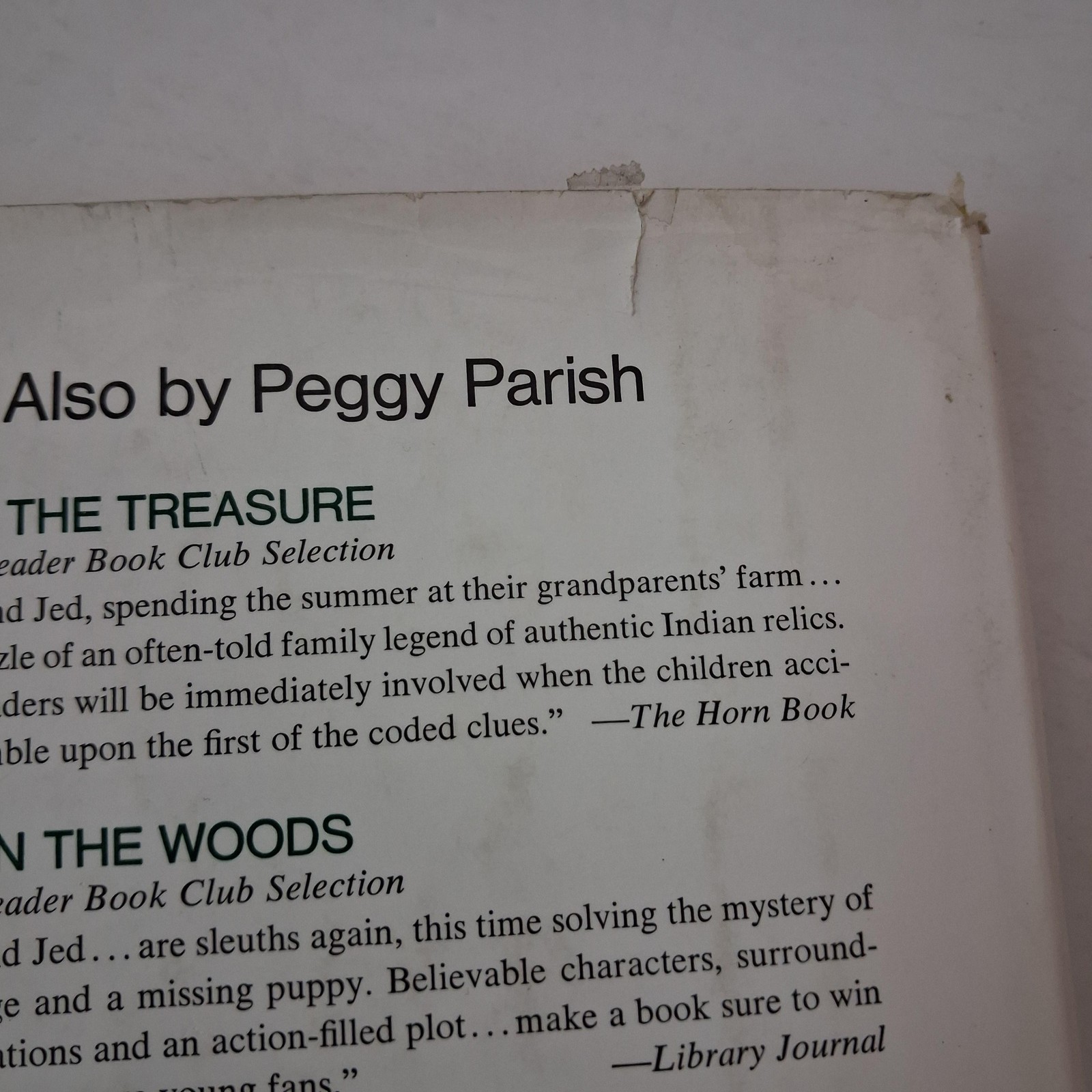 Vintage Hermit Dan Peggy Parish Childrens Mystery Green HC DJ 1977 USA Macmillan