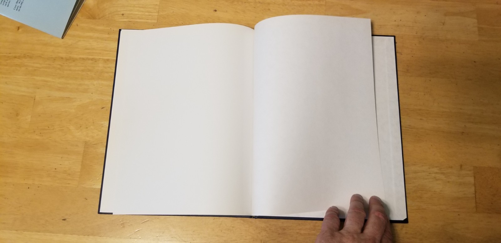 American stoneflies: A photographic guide to the Plecoptera by Bill P. Stark