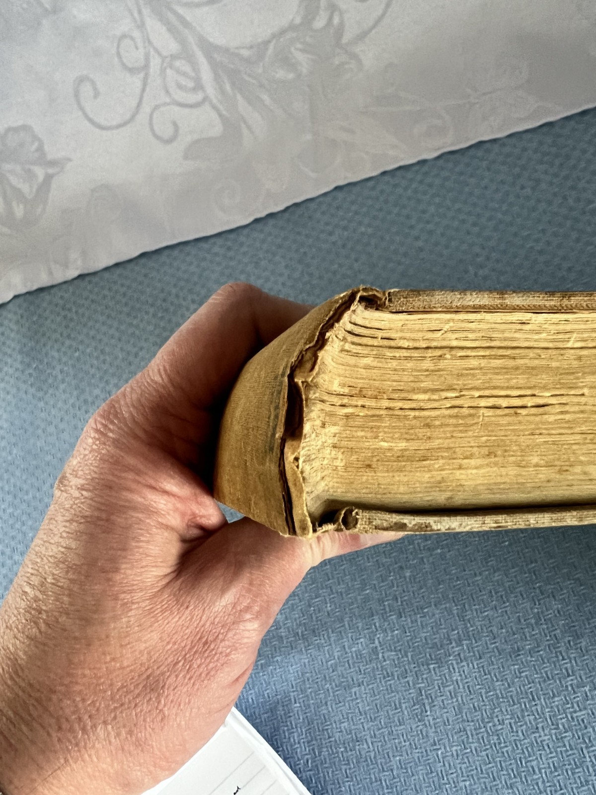 John Steinbeck Tortilla Flat 1935 TRUE 1st Edition Covici-Friede NO DJ