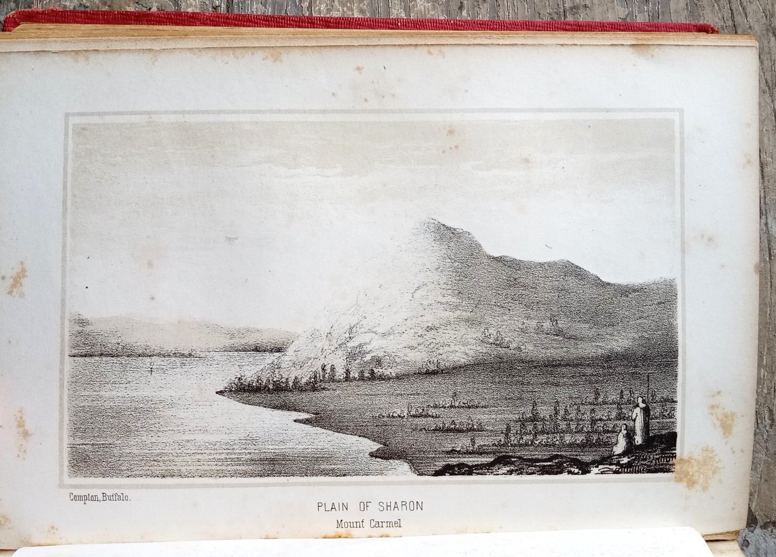 The Sacred Plains ~1856 Antique HC~ Headley Bible Geography Buffalo NY Illust