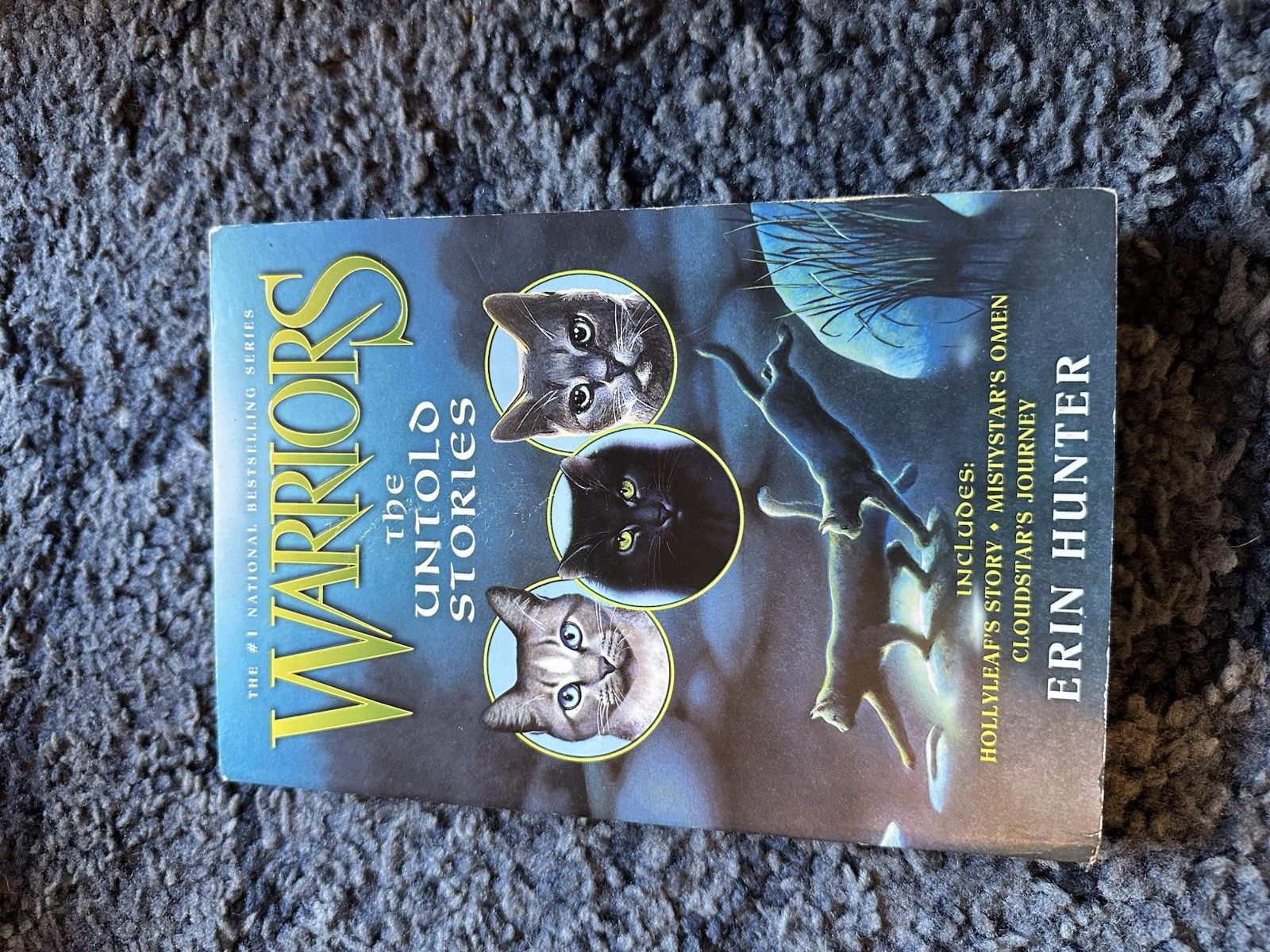 Warriors Tales from the Clans & Untold Stories Paperback by Erin Hunter HarperC…