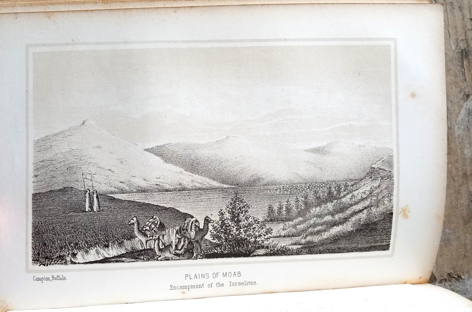 The Sacred Plains ~1856 Antique HC~ Headley Bible Geography Buffalo NY Illust