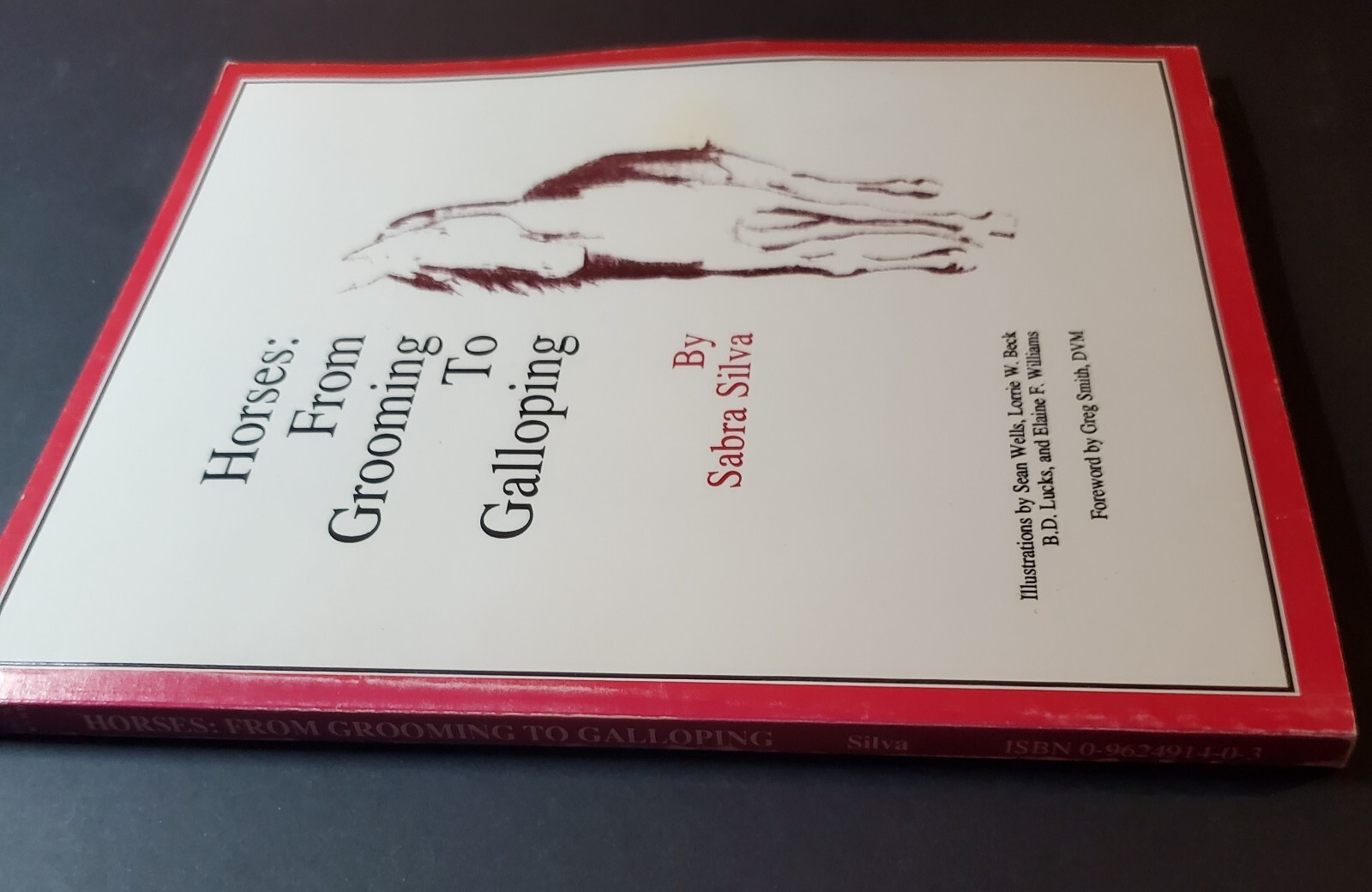 Horses : From Grooming to Galloping by Sabra Silva (1990, Trade Paperback)