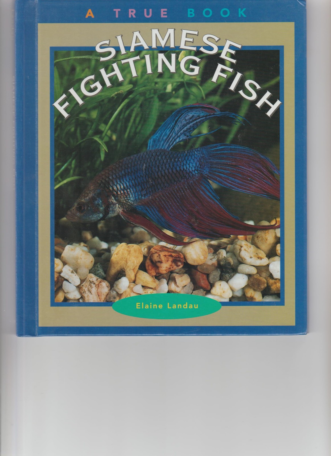 Siamese Fighting Fish (True Books: Animals)