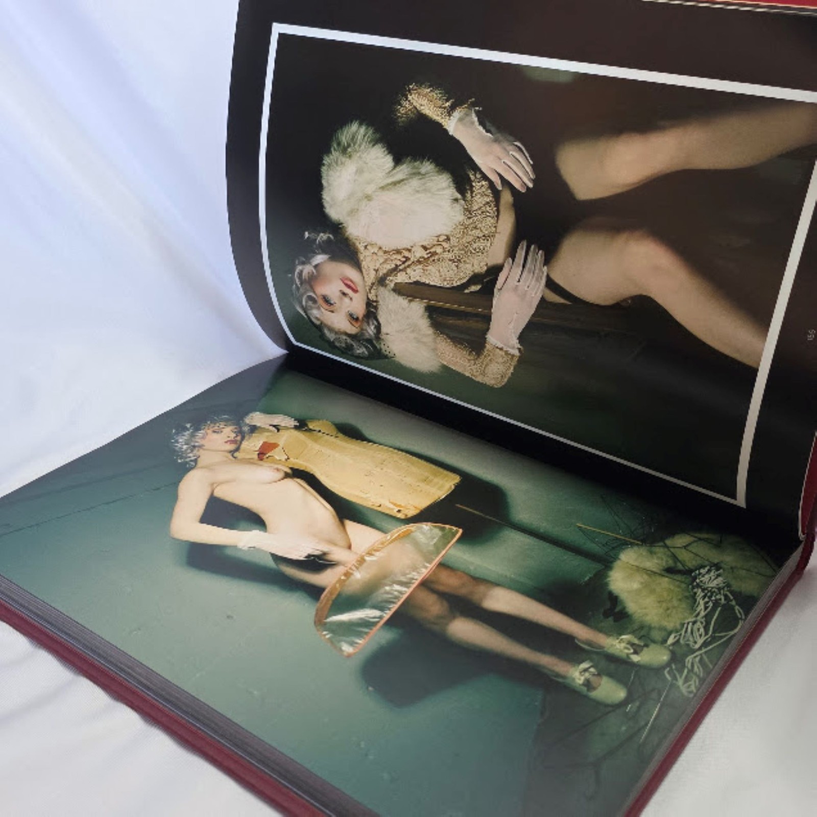 Viva’s Pinups : Bullet Bras and Backseat Betties by Tyson McAdoo and Korero…