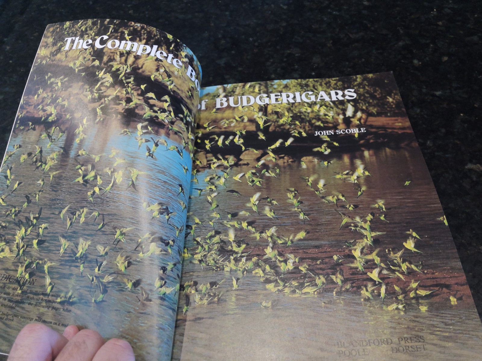 Complete Book of Budgerigars by John Scoble (1987, Trade Paperback)