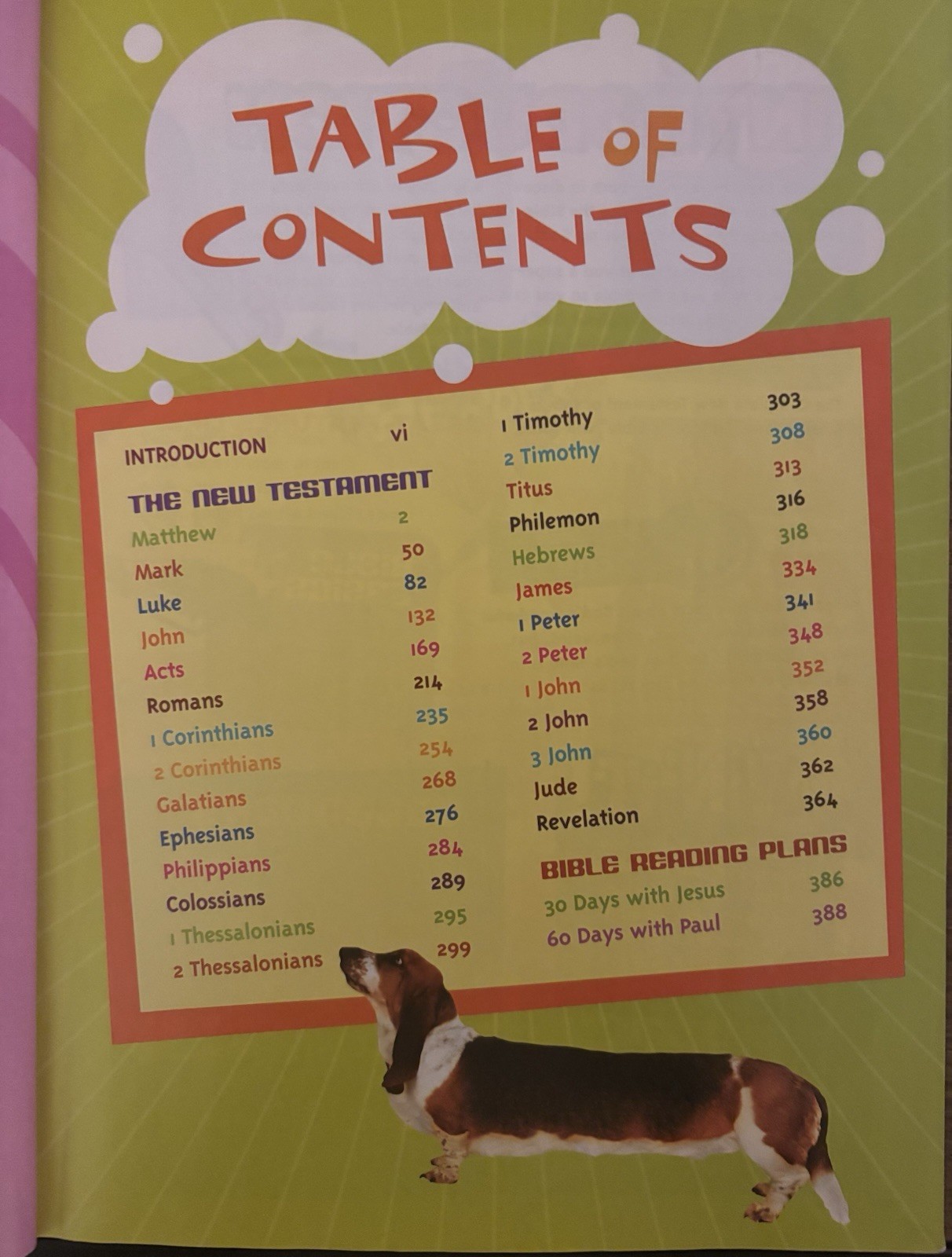 Magnify Complete New Testament For Kids With Free Secret Decoder Included