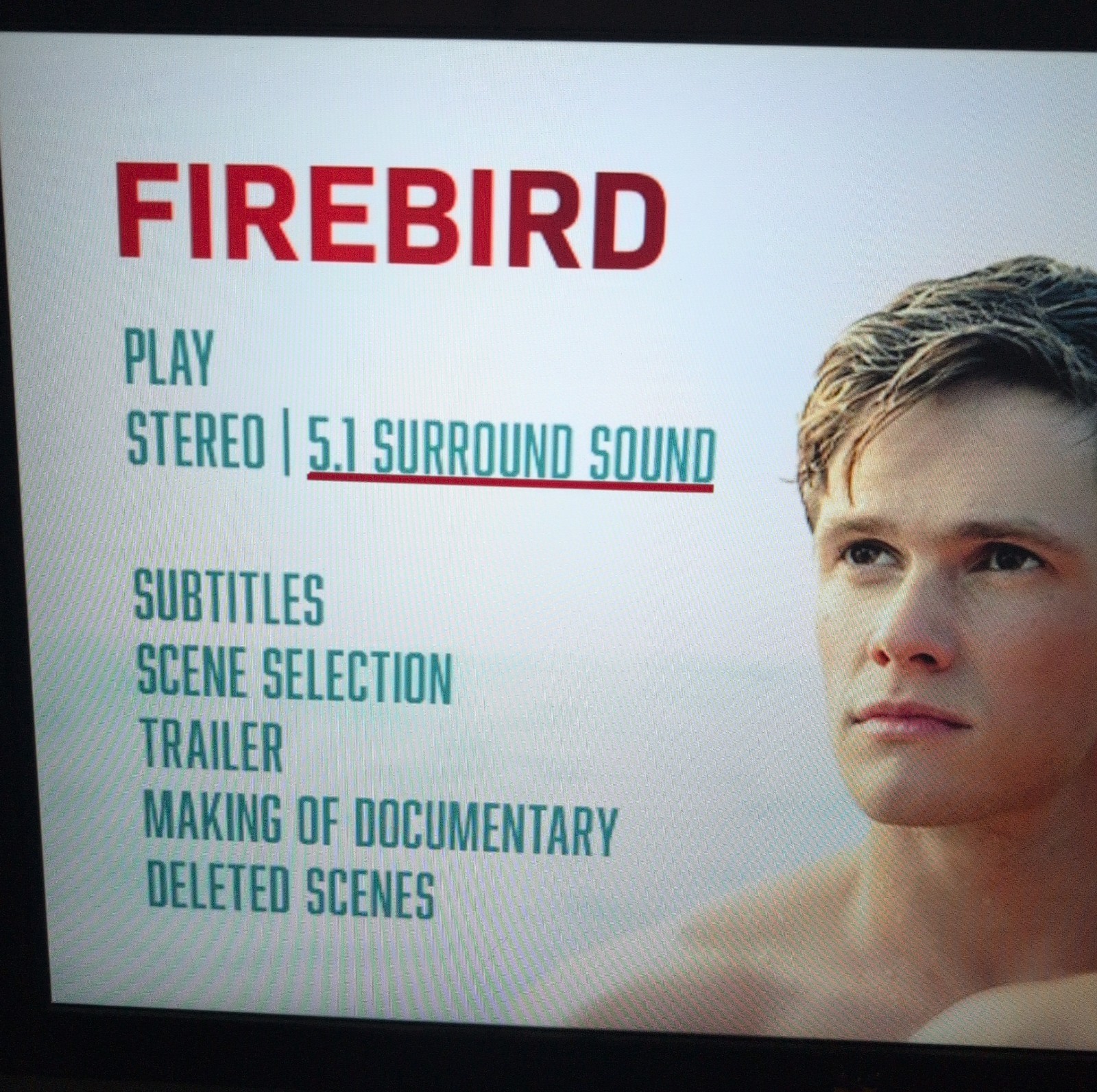 FIREBIRD DVD – Official Collector’s Edition LGBTQ+ Film – Peeter Rebane – Tested