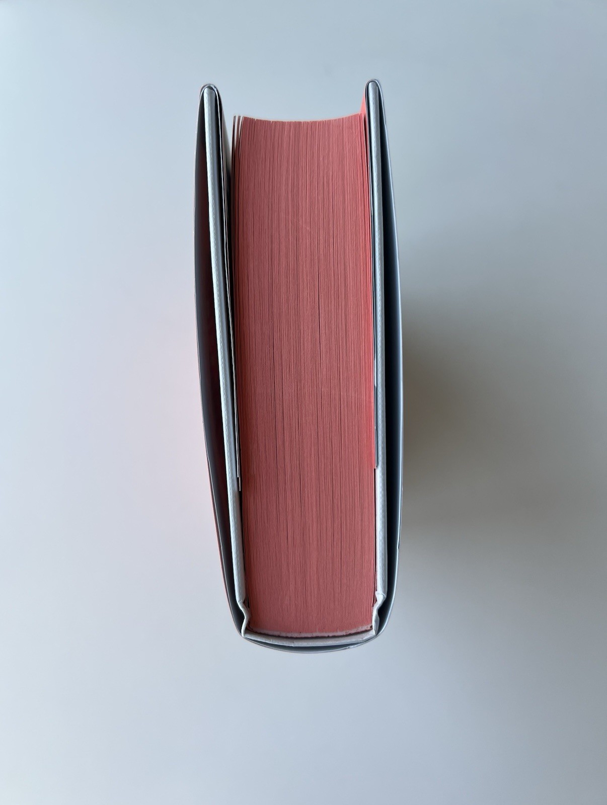 Illumicrate – Problematic Summer Romance by Ali Hazelwood