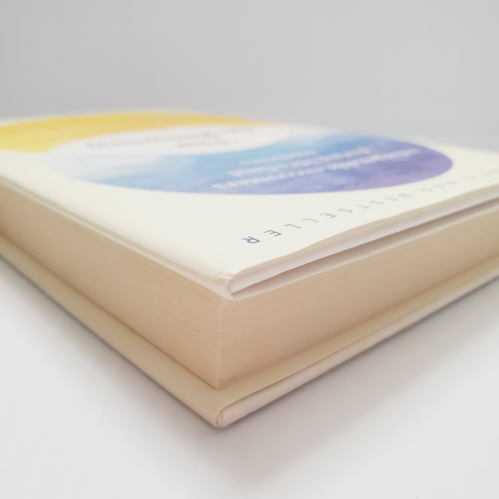 The In-Between Book Encounters During Life’s Final Moments Hadley Vlahos HC