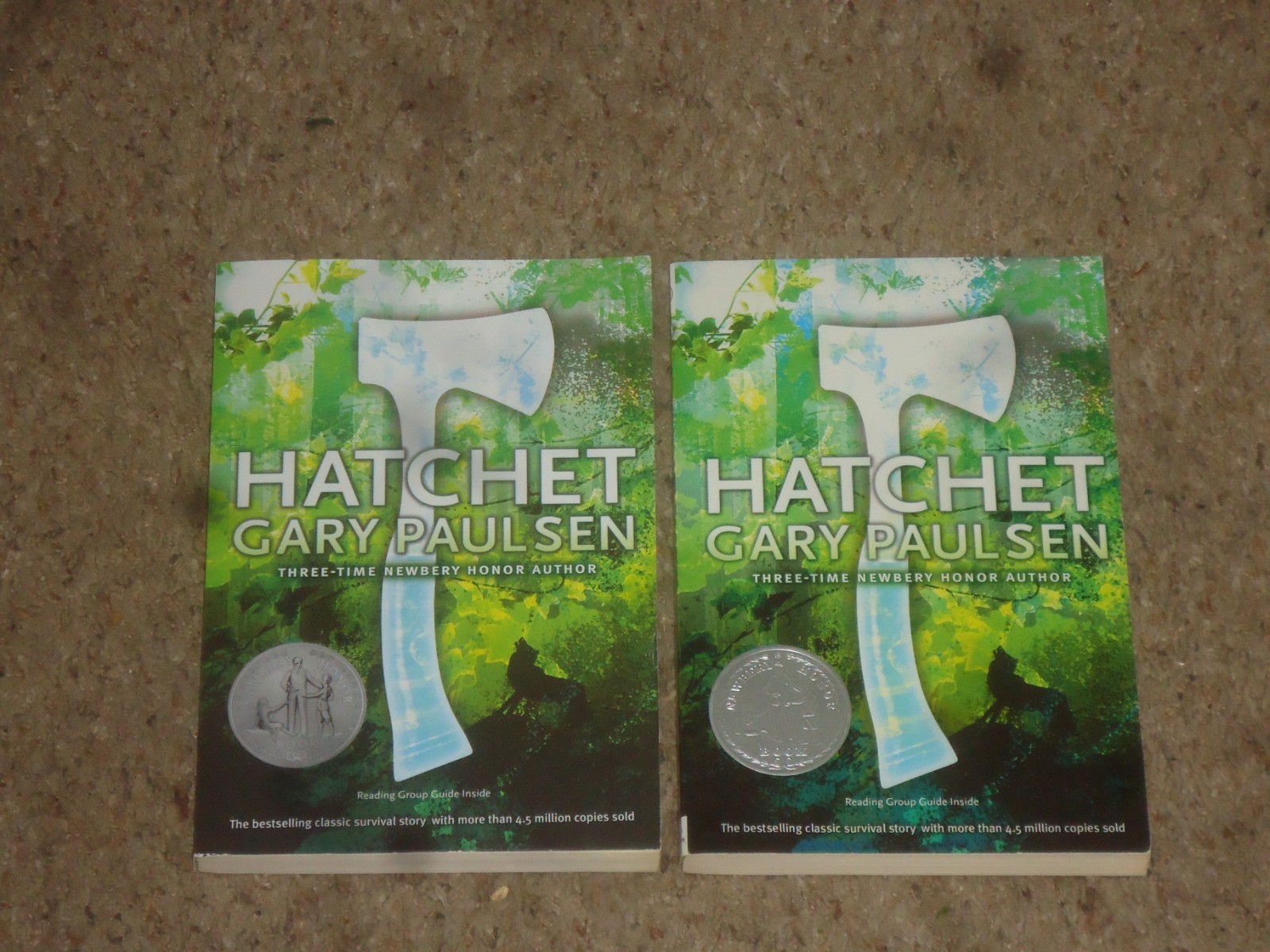 Lot 20 Hatchet Books Teacher Class Set Gary Paulsen Guided Reading