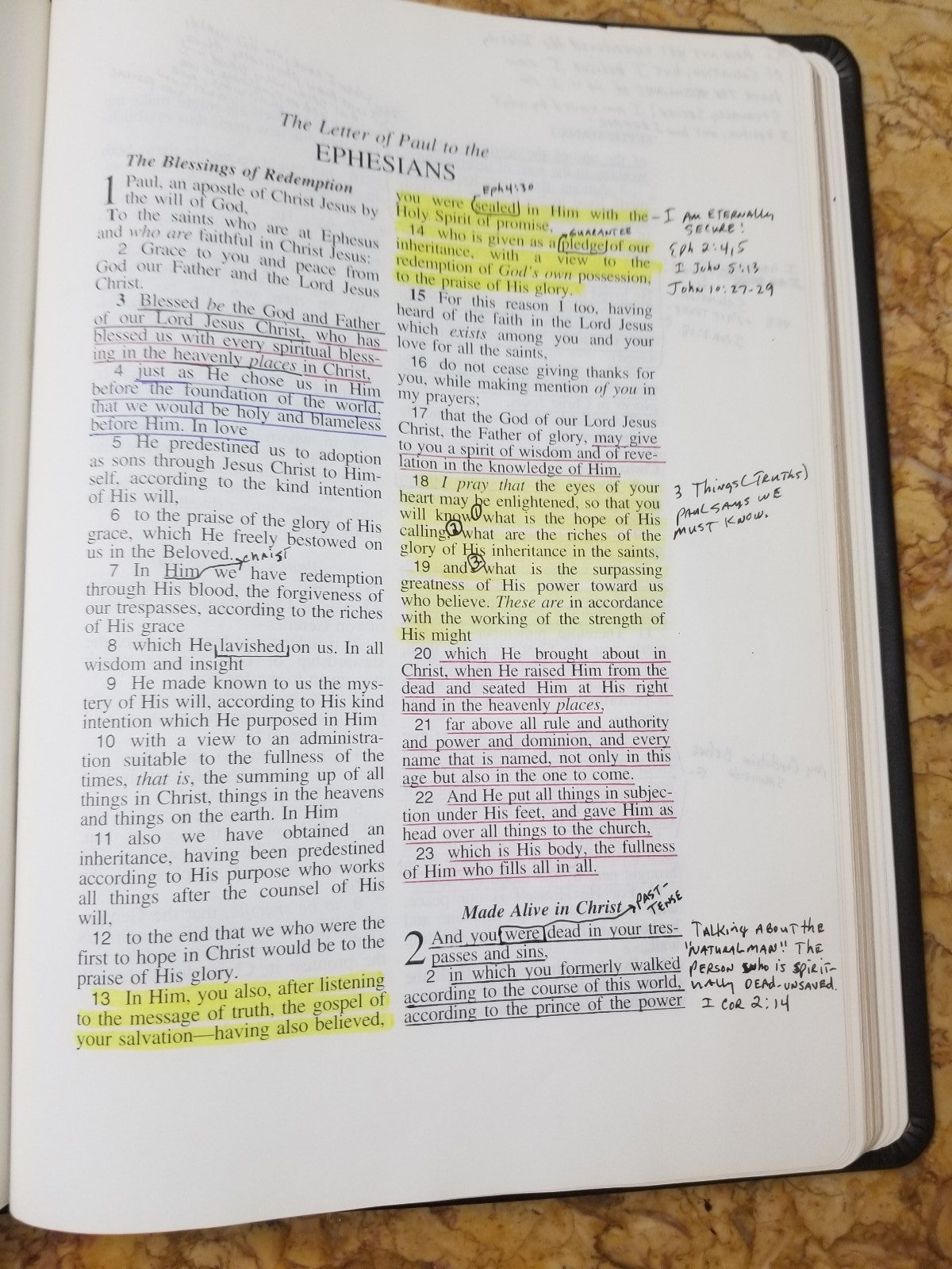 RARE 1999 USA NASB Bible Wide Margin Unknown Leather Opaque Paper USED L@@K🌟