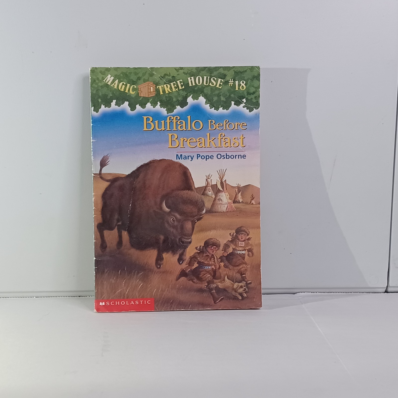 Magic Tree House Book Lot (13 Books) Mary Pope Osborne – Mixed Numbers