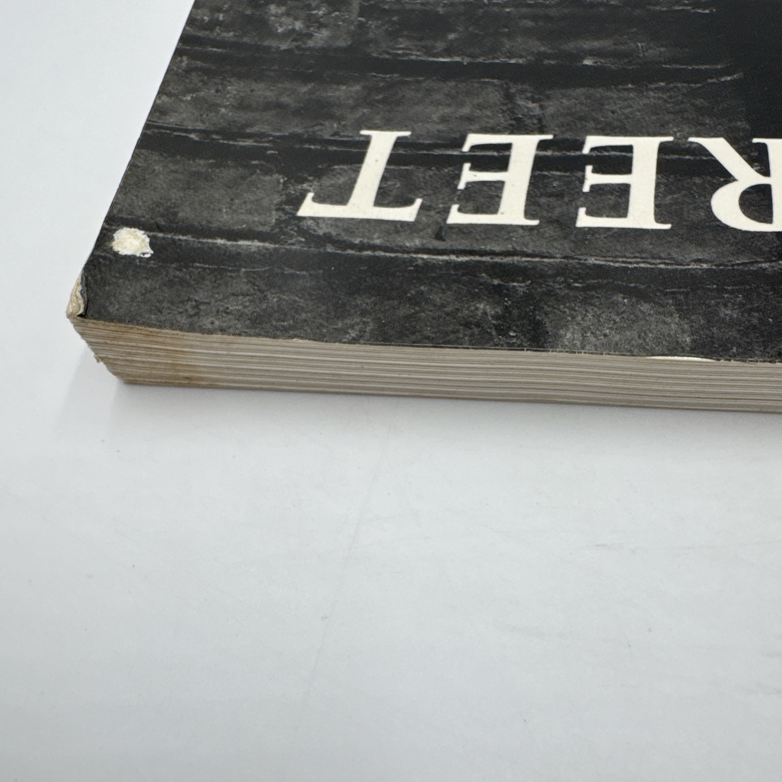 Helen Levitt In The Street 1987 1st Edition PB Chalk Drawings Messages Duke