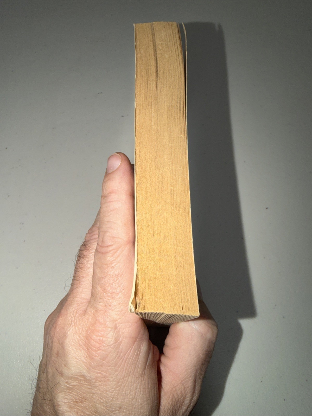 Dean R. Koontz – The Vision – PB 1st Printing, Really Good Condition