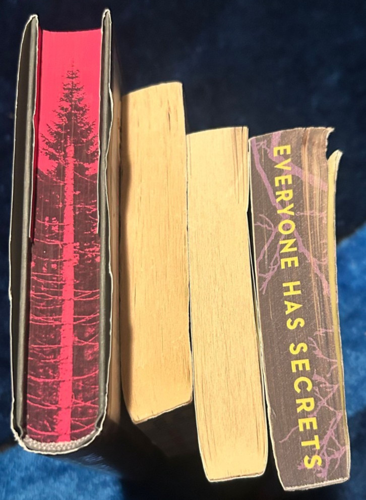 Mary Kubica – Lot of 4 – Local Woman Missing & She’s Not Sorry Sprayed Edges