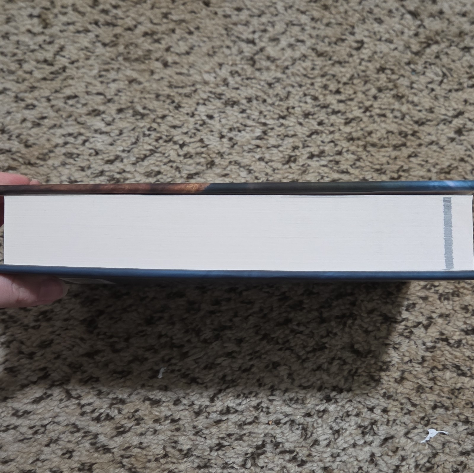 Ascend Online Books 1 & 2 Hardcover Set Luke Chmilenko Deluxe Collectors Ed