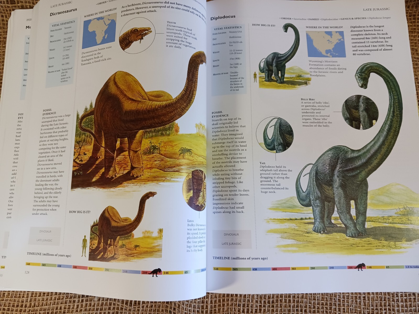 dinosaurs and other prehistoric animals by amber
