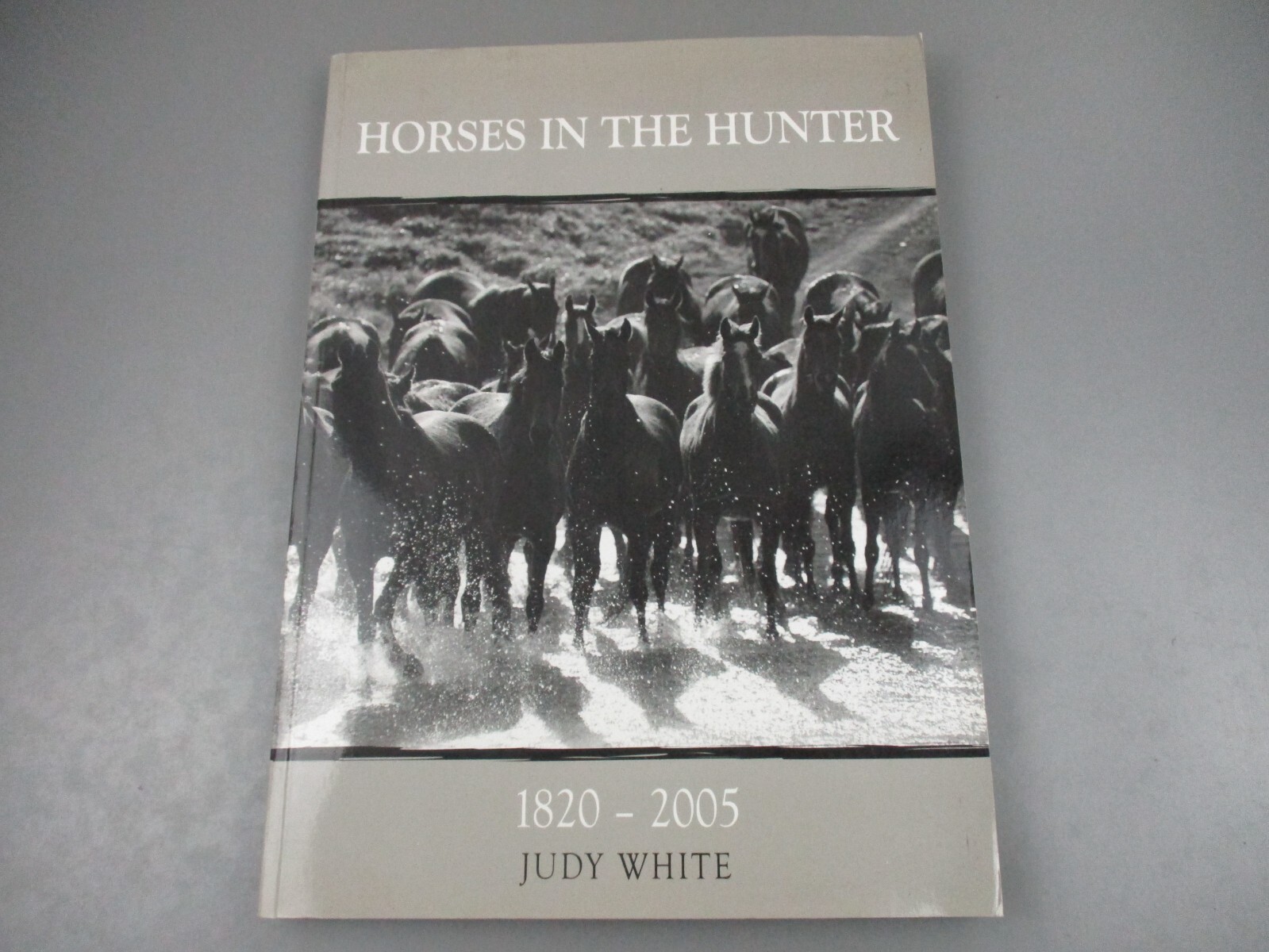 Horses In The Hunter 1820-2005 River Valley NSW Signed Judy White Hardcover