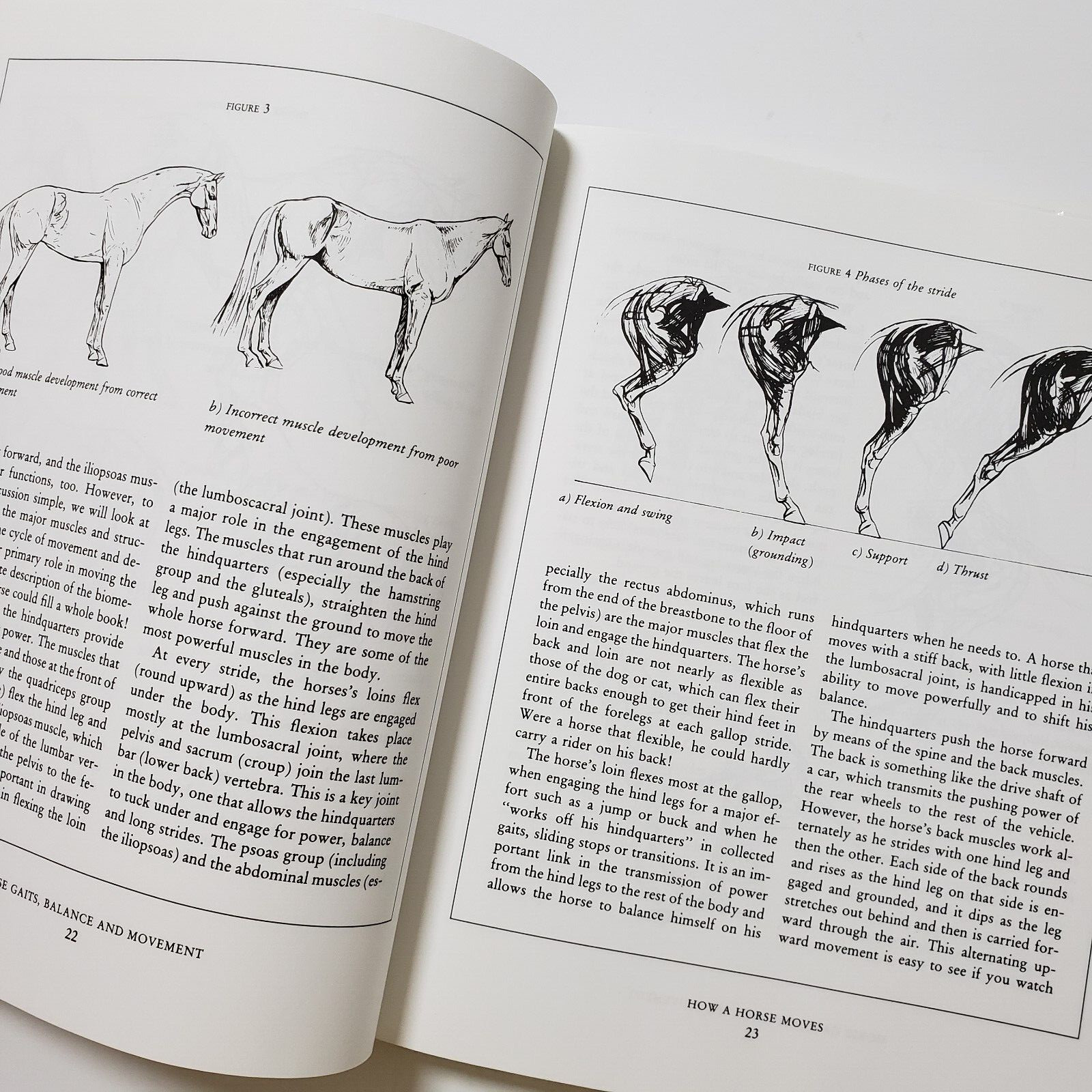 Horse Gaits, Balance and Movement by Susan E. Harris 1993 HC DJ