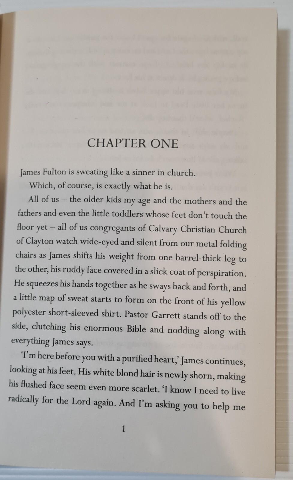 Devoted by Jennifer Mathieu (English)