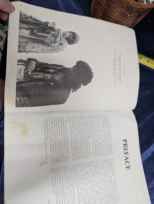 Rock ’n‘ Roll Babylon Gary Herman Paperback Music History Book
