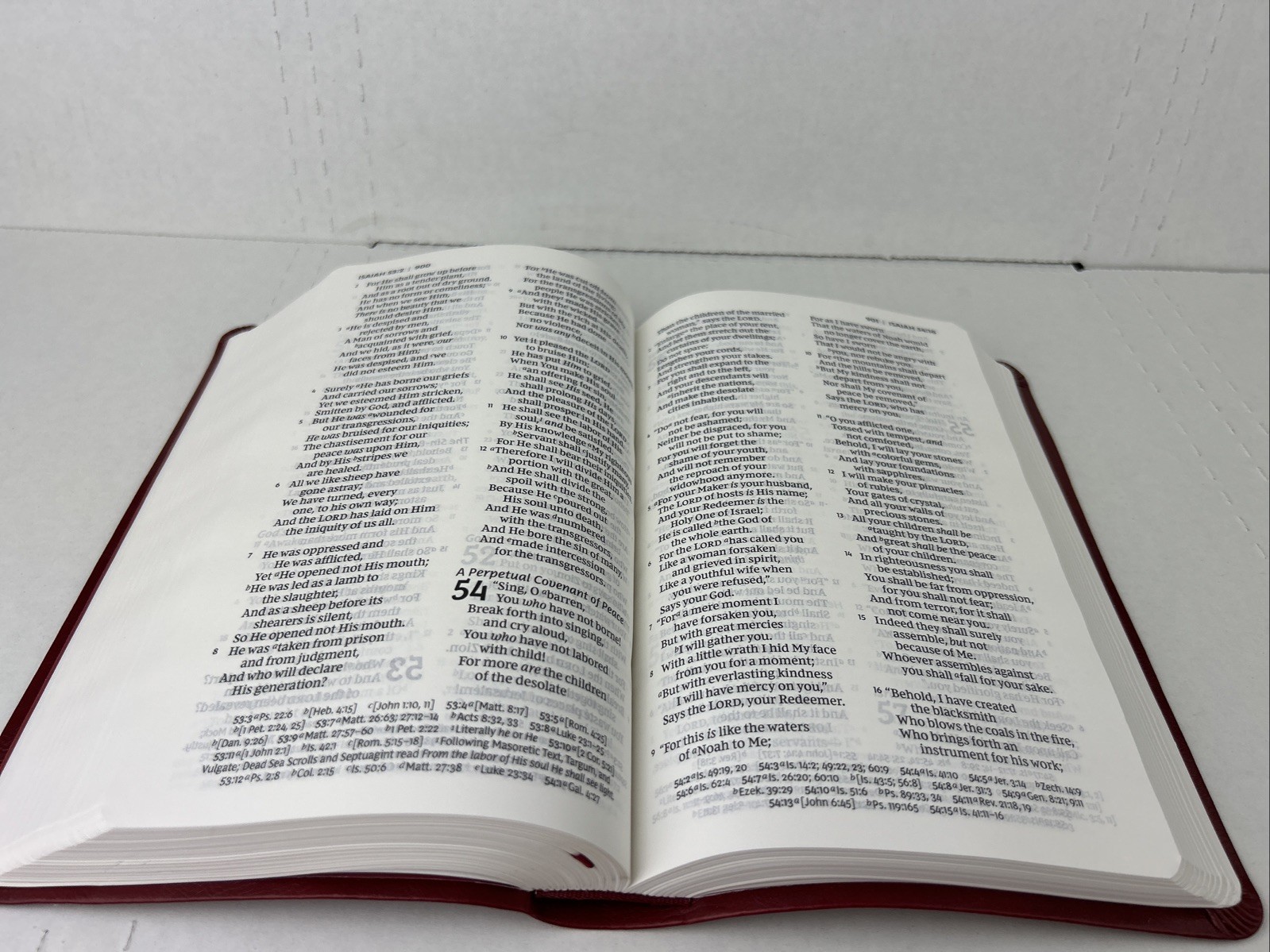 NKJV Holy Bible New King James Version Red Leather-Soft GIANT PRINT Reference